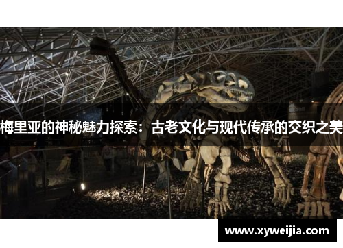 梅里亚的神秘魅力探索：古老文化与现代传承的交织之美